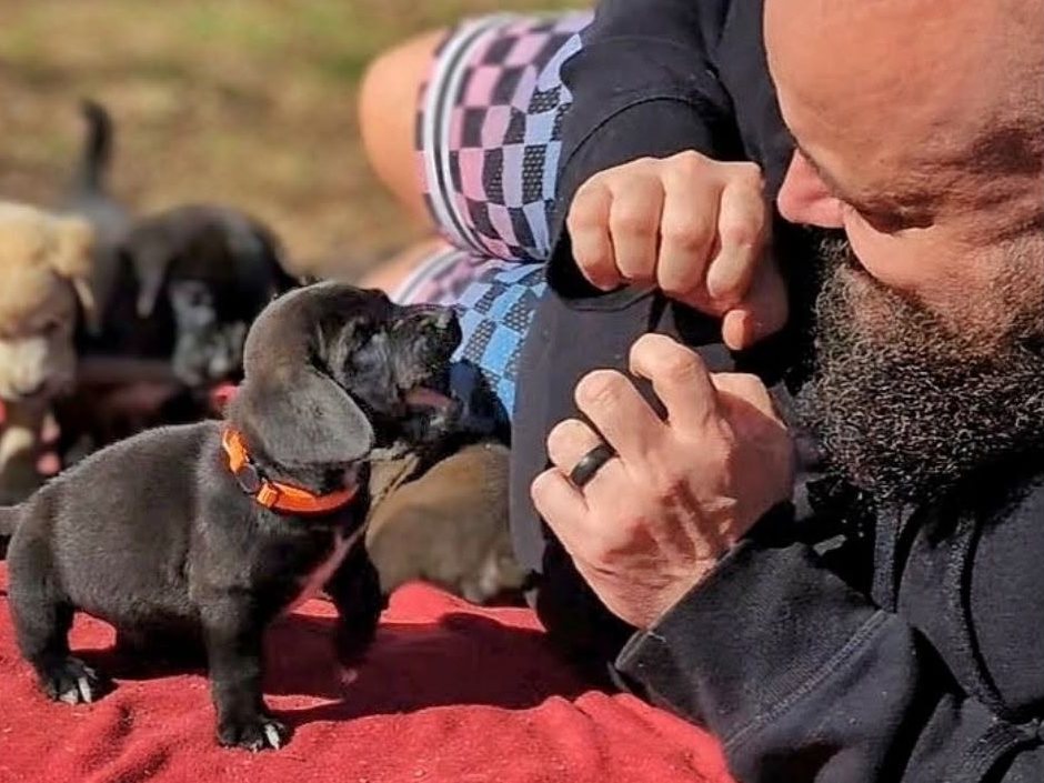 A foster volunteer lying on a blanket in the grass, nose to nose with a playful black puppy